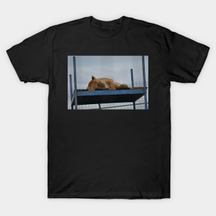 Liger T-Shirt